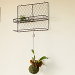 ワイヤーラック