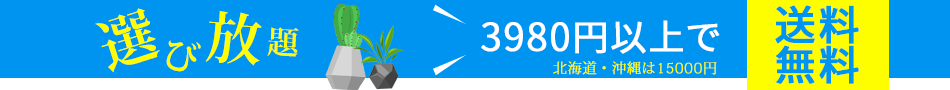 3980円以上で送料無料