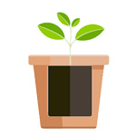 植木鉢の選び方