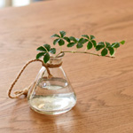 フラワーベース