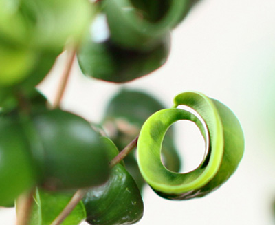 ベンジャミン・バロック