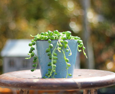 グリーンネックレス