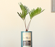 ベンジャミン・バロック