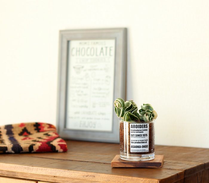 天然木のアカシアから切り出したコースター×1枚 | [公式]e-花屋さん