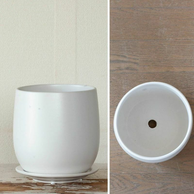 000000000629-04.jpg?size=l&w=