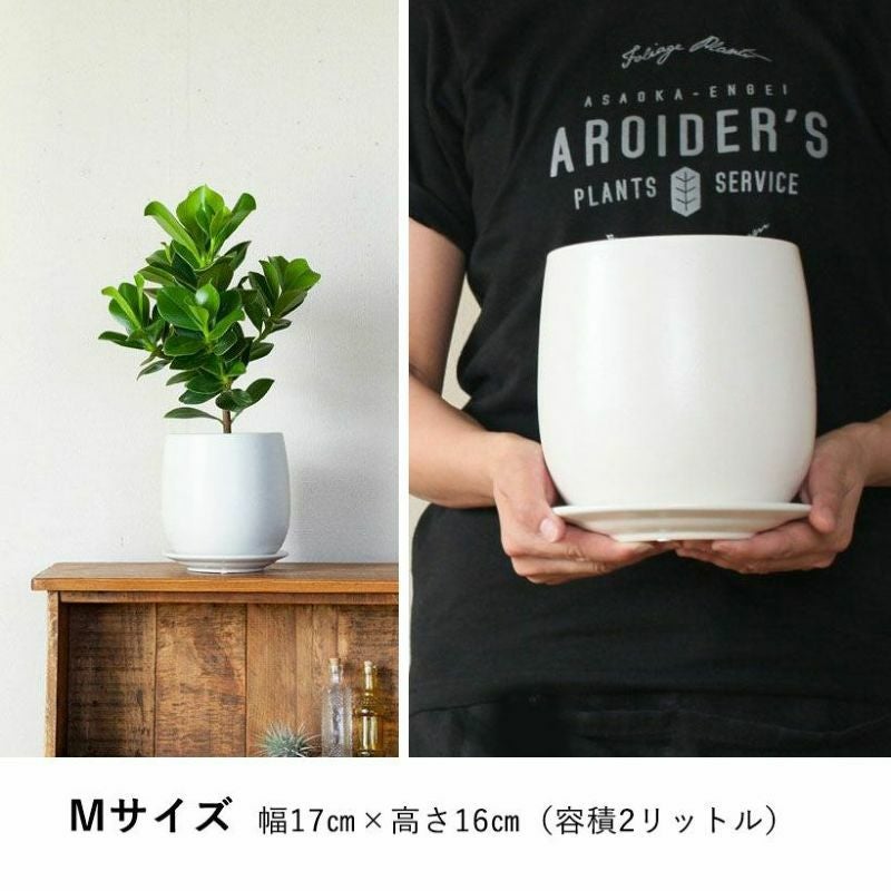 白マット仕上げの植木鉢｜面長形状シンプルなマット仕上げ（受皿付き）