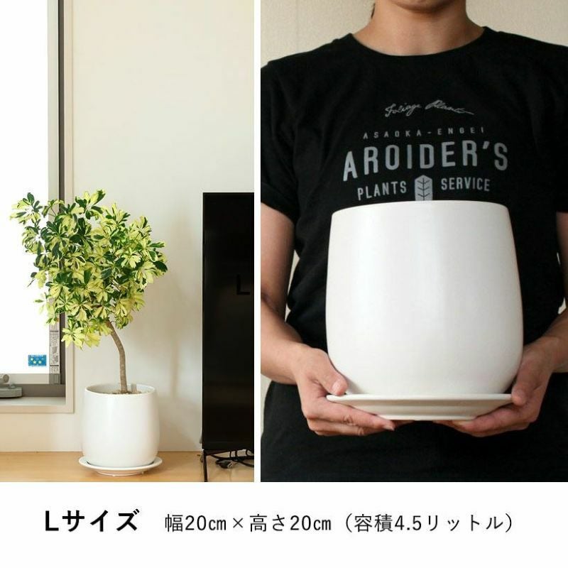 白マット仕上げの植木鉢｜面長形状シンプルなマット仕上げ（受皿付き）