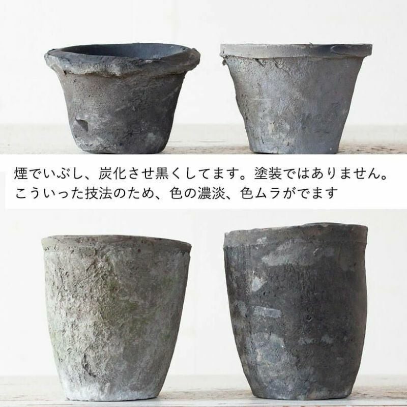 中国景徳鎮　薄胎鉢　2客　共箱　直径16.2㎝　トヒチサ　東な7-0610⭐︎2F 中国景徳鎮 薄胎鉢 2客 共箱 直径16.2㎝ トヒチサ 東な7-0610⭐︎2F