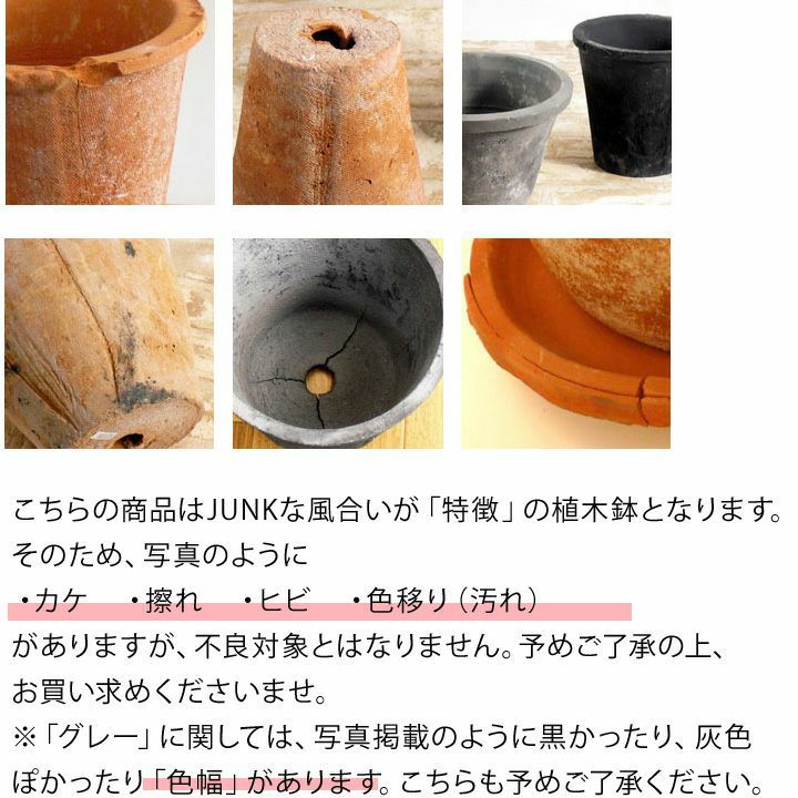 モスポット浅鉢（直径10cm/高さ6cm) | [公式]e-花屋さん