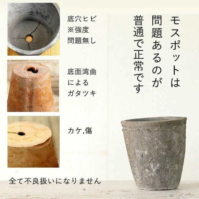 モスポット直径10cm×高さ12cm | [公式]e-花屋さん