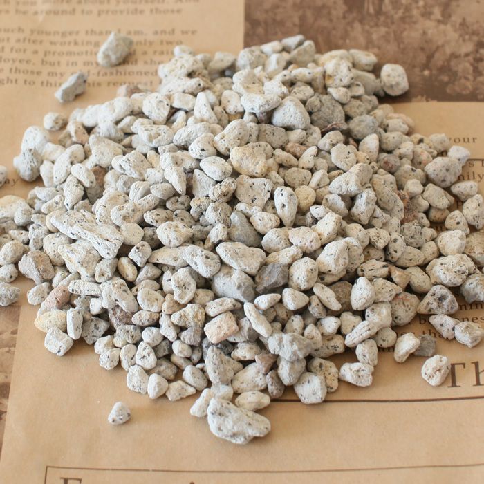 000000000645-01.jpg?size=l&w=