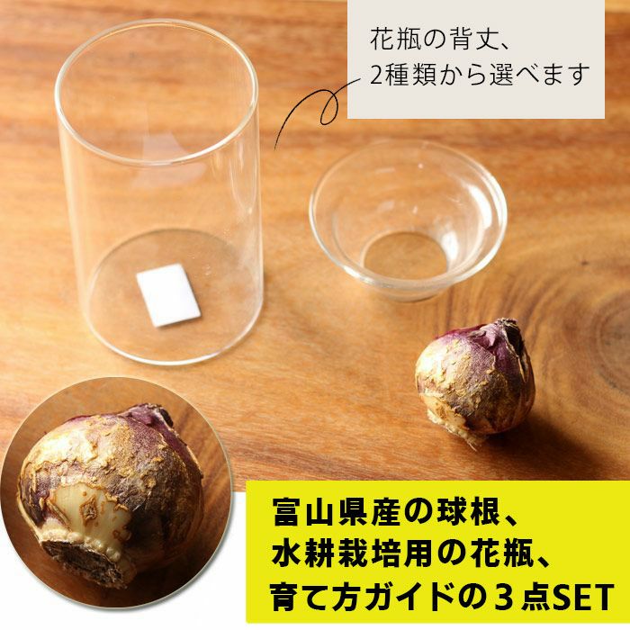 000000000651-05.jpg?size=l&w=