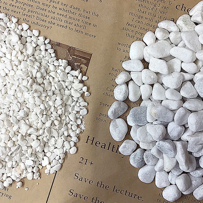 000000000658-01.jpg?size=l&w=