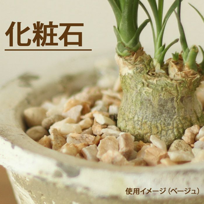 化粧石 000000000660-01.jpg?size=l&w=