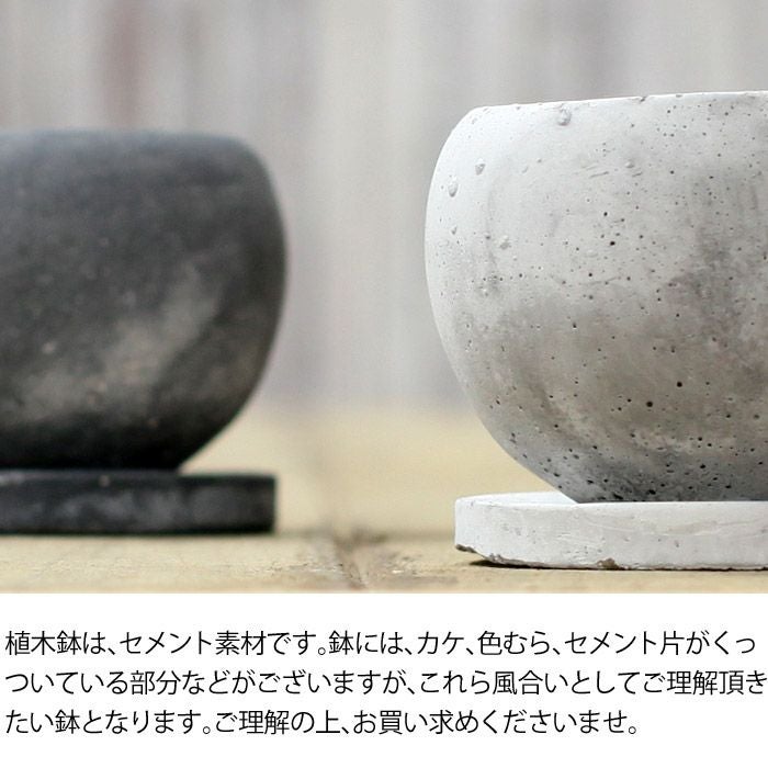 小さめ植物の植え替えに。丸いセメント陶器鉢|2.5号サイズに適応