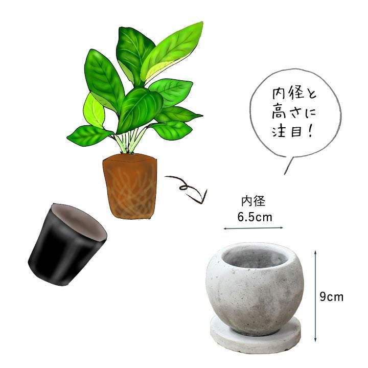 小さめ植物の植え替えに。丸いセメント陶器鉢|2.5号サイズに適応