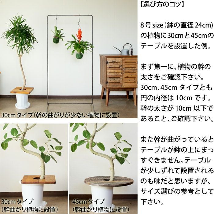 プランツテーブル（45cmタイプ） | [公式]e-花屋さん