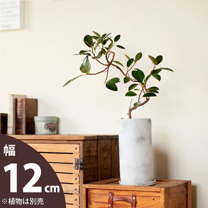 マット調丸長トール植木鉢｜3.5号～4号観葉植物の植え替えに