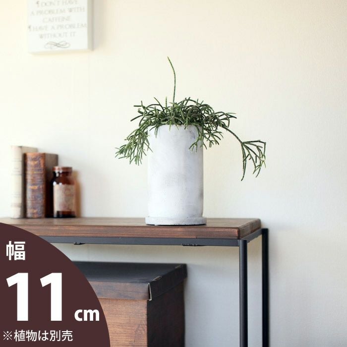 マット質感丸長グレー植木鉢｜3号～3.5号観葉植物の植え替えに