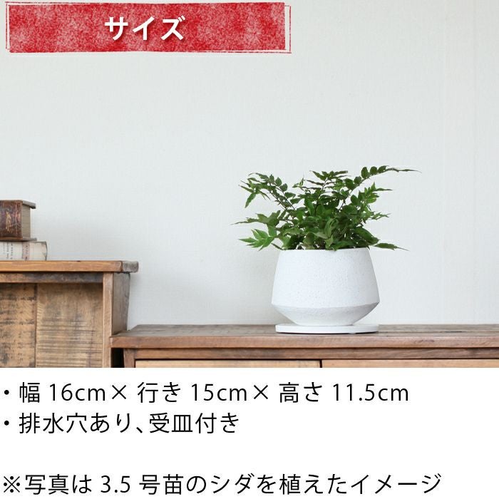 石のような質感のざらざら楕円形植木鉢｜3号～4号の観葉植物に！