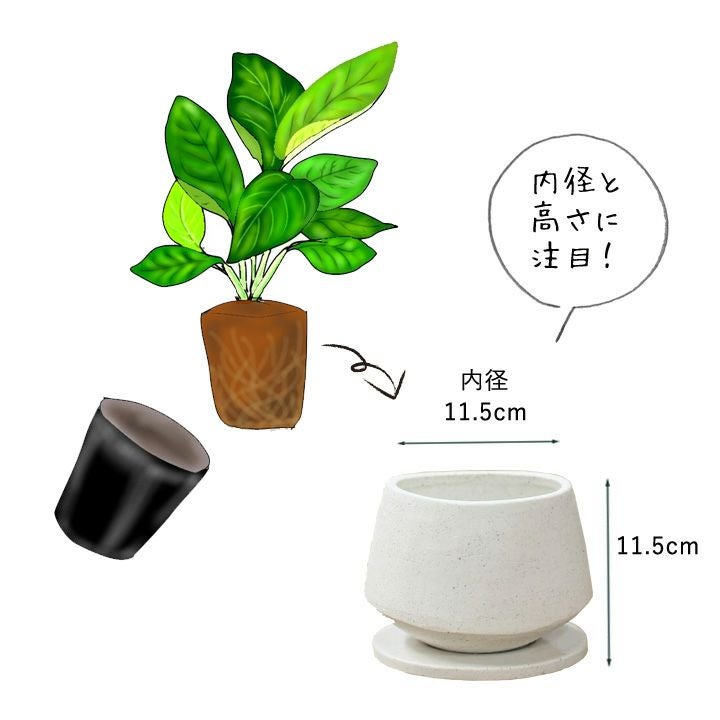 石のような質感のざらざら楕円形植木鉢｜3号～4号の観葉植物に！