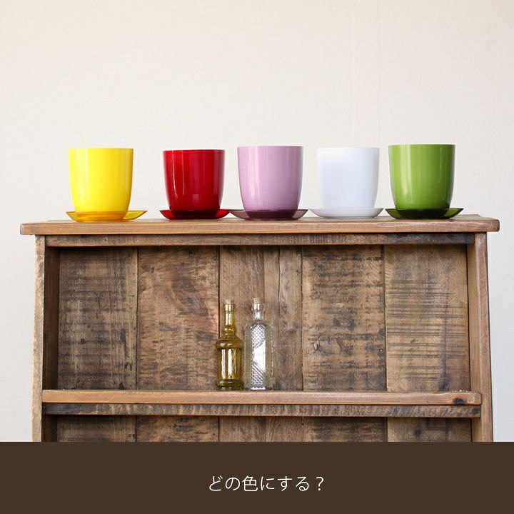 プラスチックのカラフルポップ植木鉢|2.5～3号サイズの植え替えに