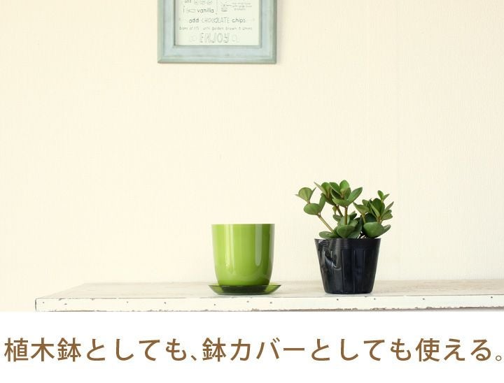 プラスチックのカラフルポップ植木鉢|2.5～3号サイズの植え替えに