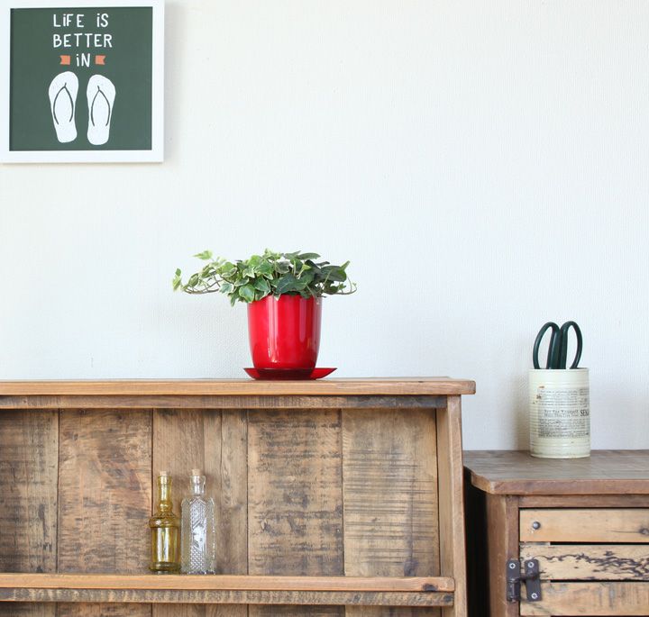 プラスチックのカラフルポップ植木鉢|2.5～3号サイズの植え替えに