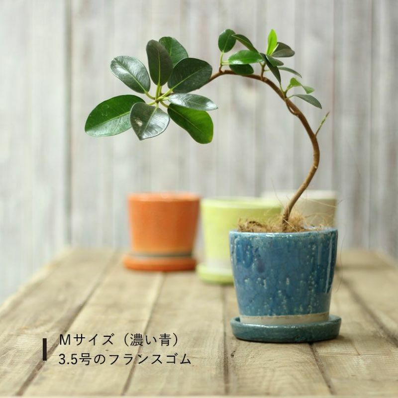 9色から選べる！貫入加工のカラー陶器鉢｜2.5サイズ植物の植替えに