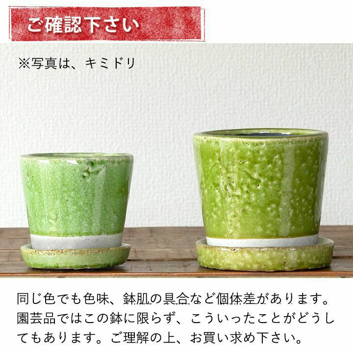 9色から選べる！貫入加工のカラー陶器鉢｜2.5サイズ植物の植替えに