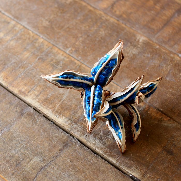 000000000748-01.jpg?size=m&w=