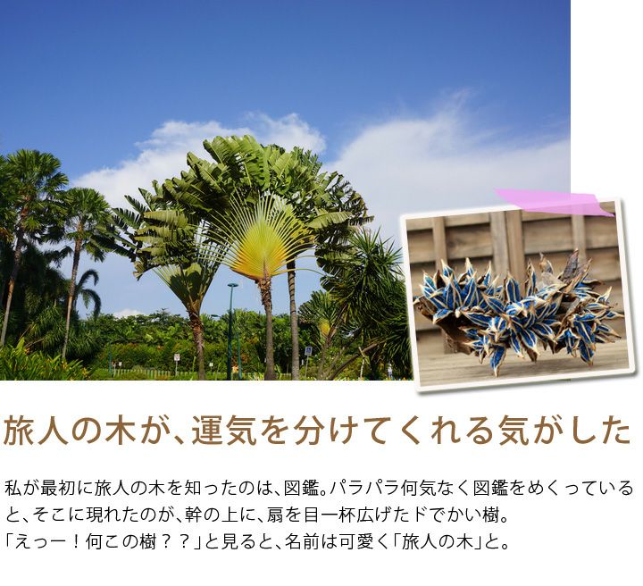 000000000748-06.jpg?size=l&w=