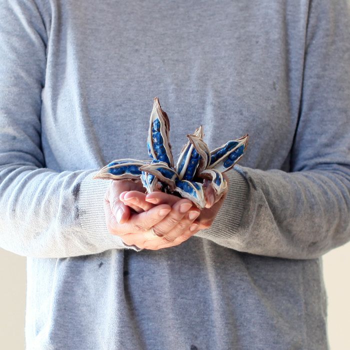 旅人の木の種（タビビトノキの実）日本産ブルーオブジェ｜e-花屋