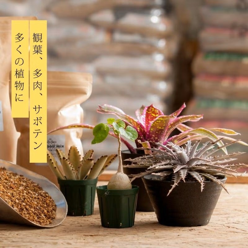 観葉植物はプレミアム用土｜1番人気！虫がわかないBEST配合e-花屋さん