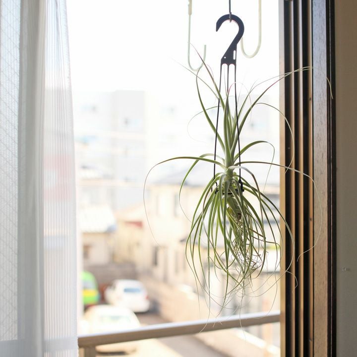 000000000776-03.jpg?size=l&w=