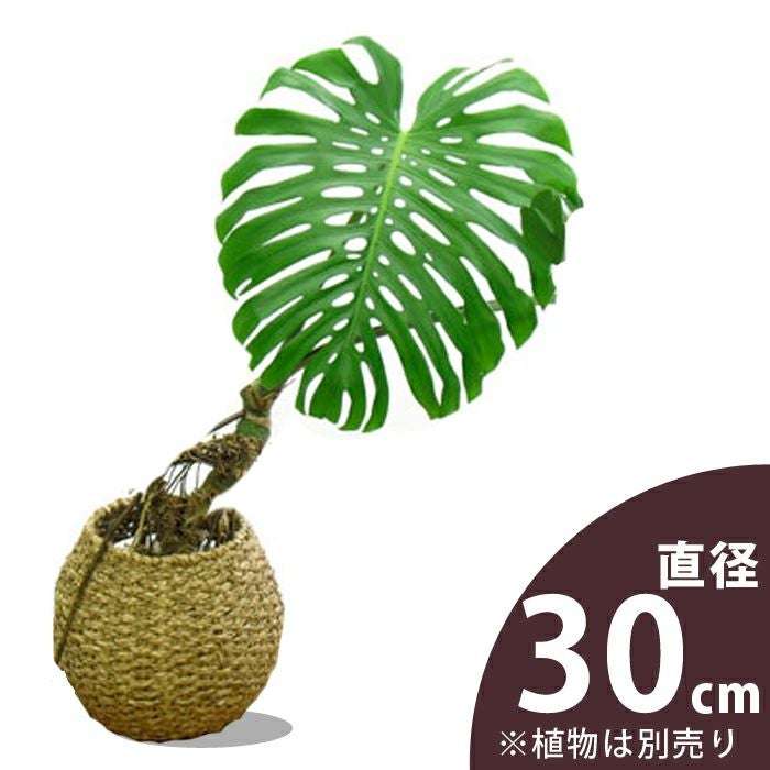 オシャレ！丸いバスケット（8号向け）【送料無料（同梱不可