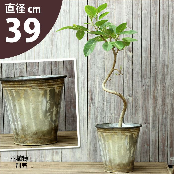 000000000836-01.jpg?size=m&w=