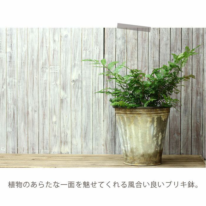 000000000836-05.jpg?size=l&w= 
