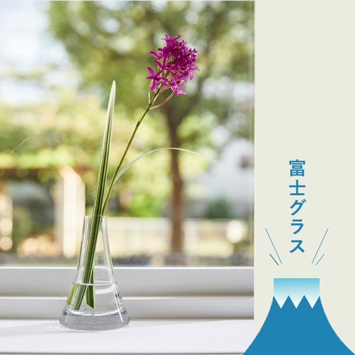 富士山の形がお洒落なFUJIグラス ショートタイプ | [公式]e-花屋さん