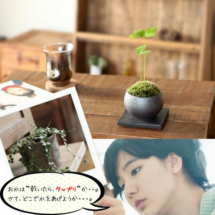 激安です、、植木鉢　と受け皿　まとめ売り プランター 受け皿 受皿 長方形 横長 30cm アンティーク おしゃれ 屋外