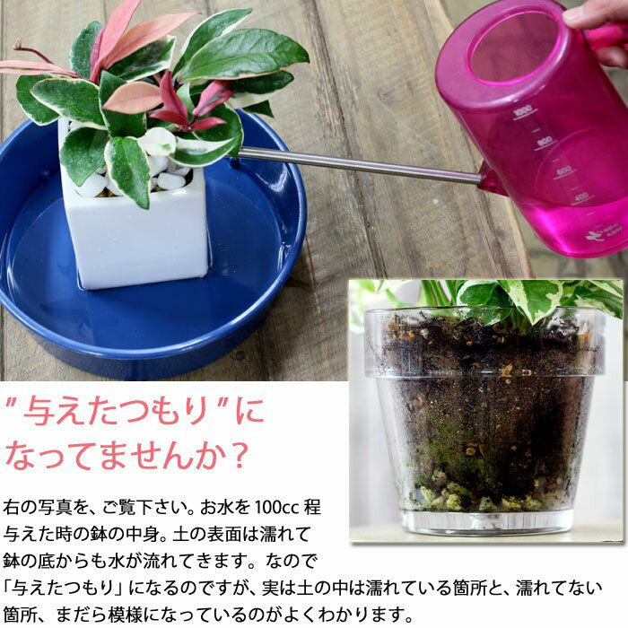 激安です、、植木鉢　と受け皿　まとめ売り プランター 受け皿 受皿 長方形 横長 30cm アンティーク おしゃれ 屋外
