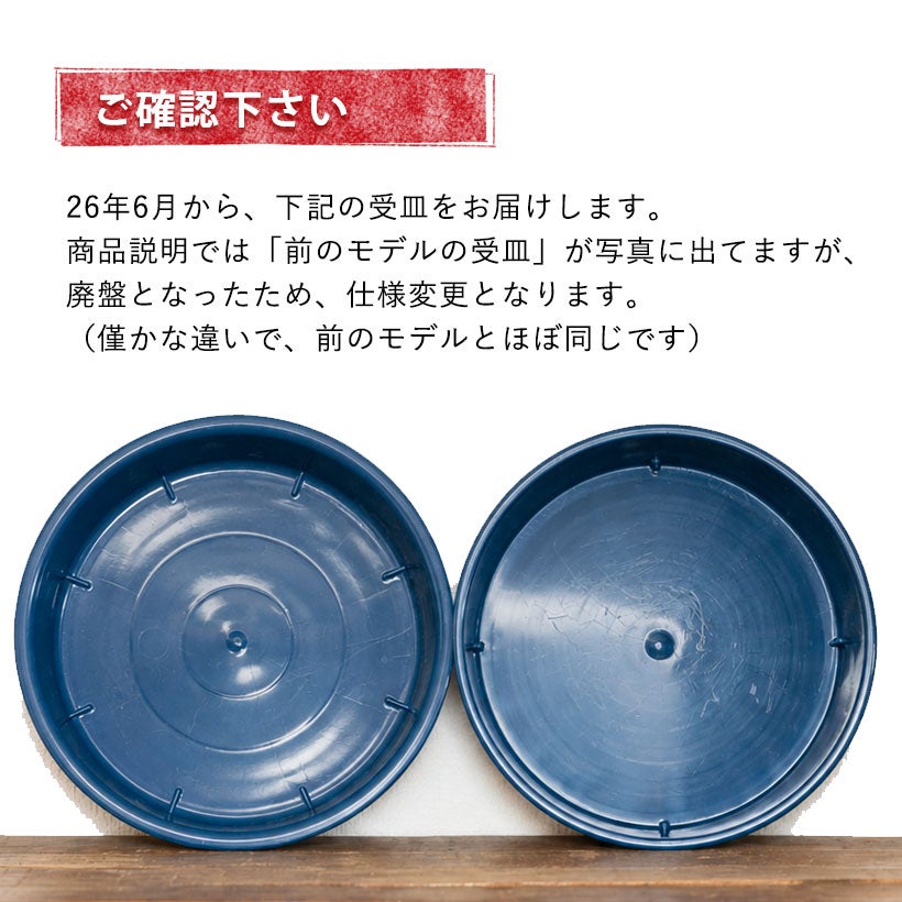 撥水性がよい、受け皿2枚セット | [公式]e-花屋さん