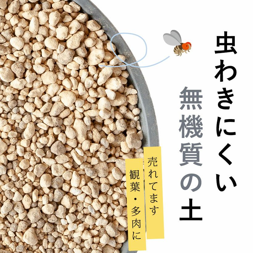 観葉植物＆多肉植物の土（虫が出にくい無機質用土） | [公式]e-花屋さん