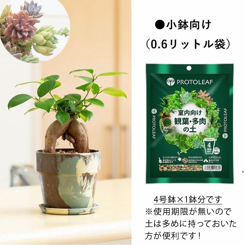 観葉植物＆多肉植物の土（虫が出にくい無機質用土） | [公式]e-花屋さん