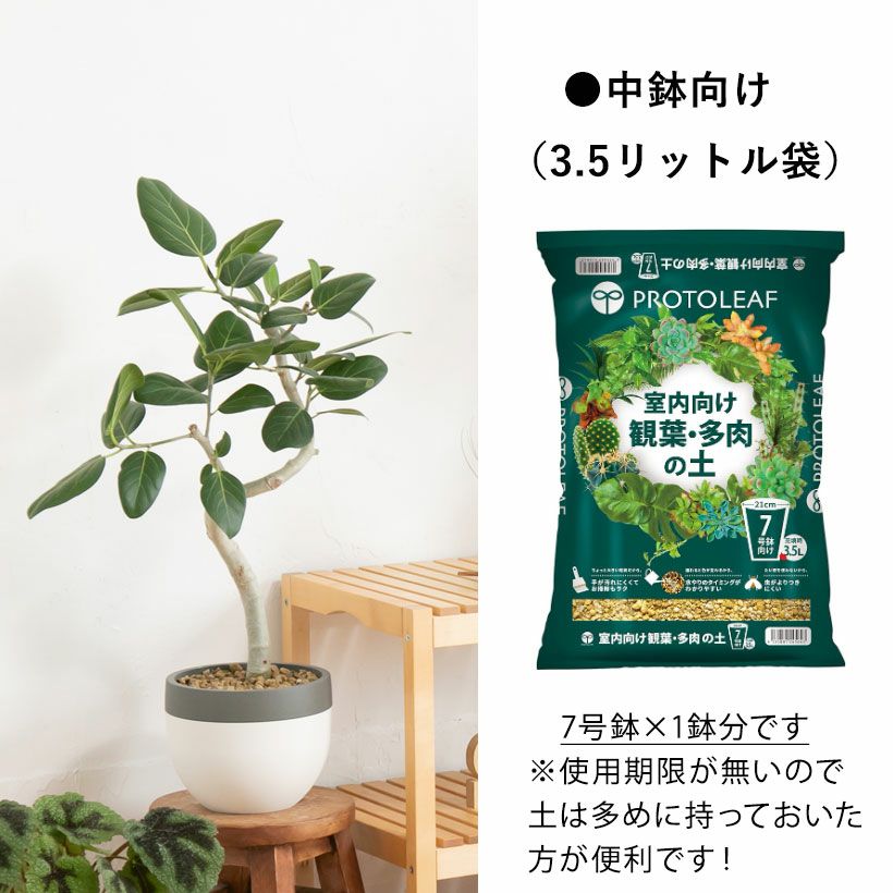 観葉植物＆多肉植物の土（虫が出にくい無機質用土） | [公式]e-花屋さん