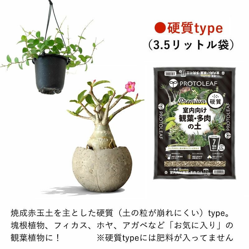 観葉植物＆多肉植物の土（虫が出にくい無機質用土） | [公式]e-花屋さん