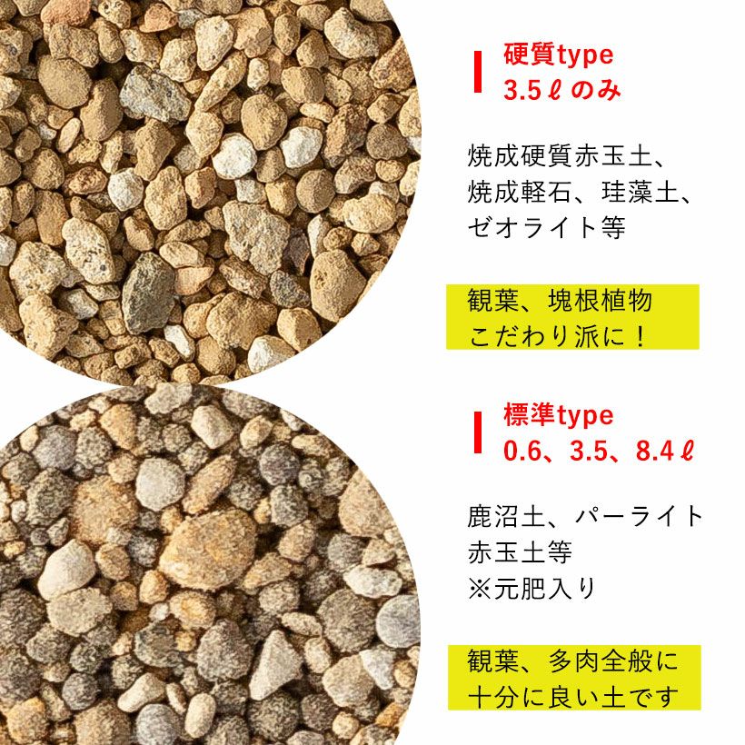 観葉植物＆多肉植物の土（虫が出にくい無機質用土） | [公式]e-花屋さん