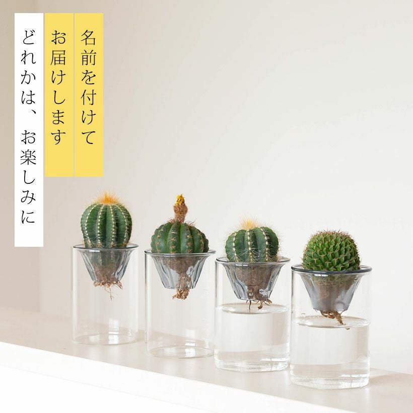 000000000999-02.jpg?size=l&w=