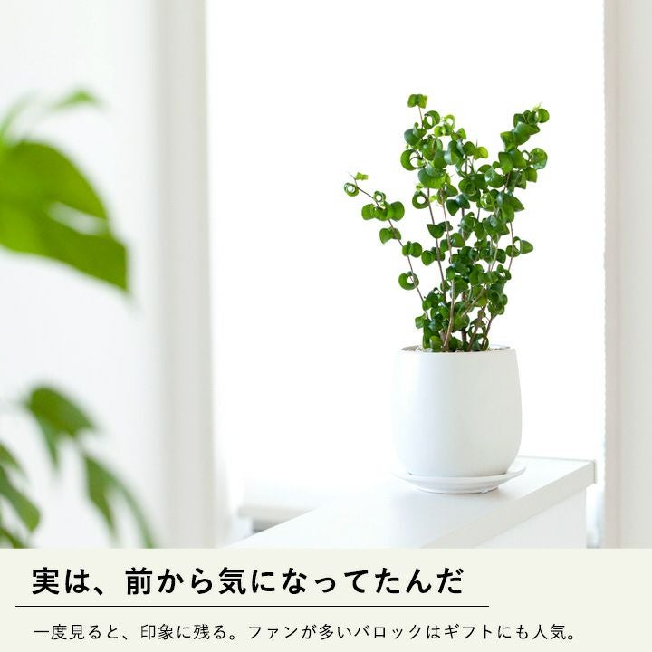000000001004-15.jpg?size=l&w=