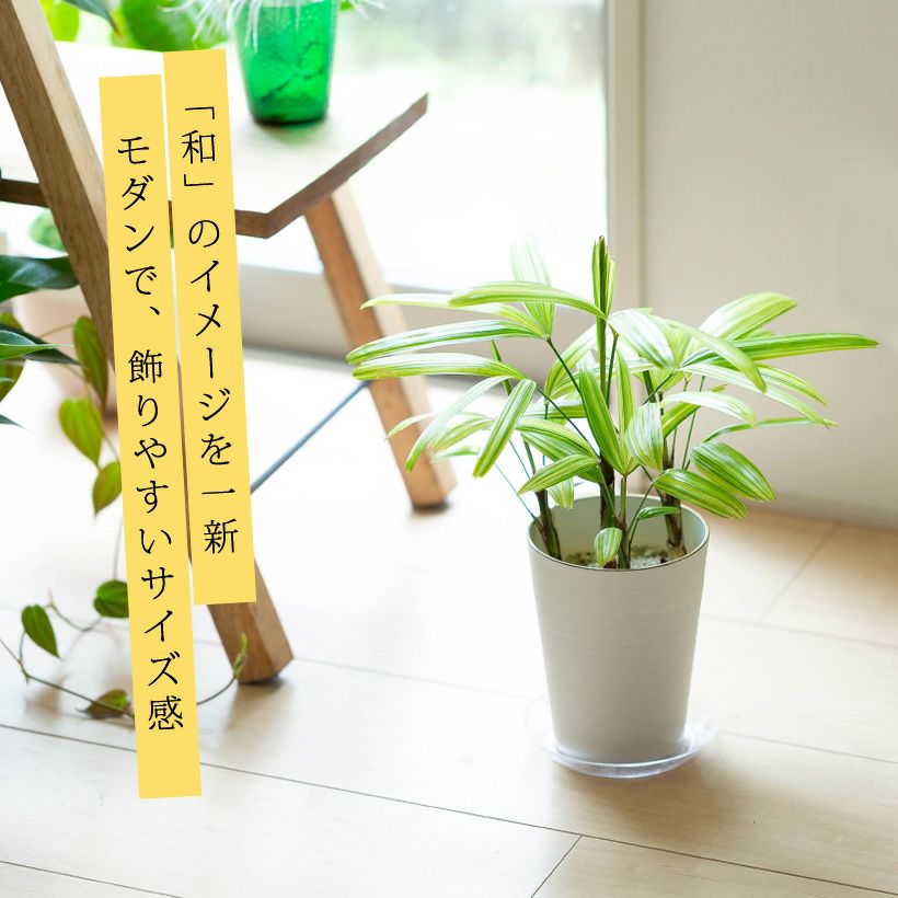 000000001017-02.jpg?size=l&w=